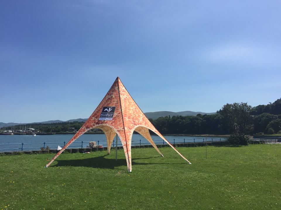 Party Tent