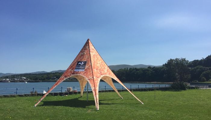 A Guide to Custom Printed Star Shade Tents image