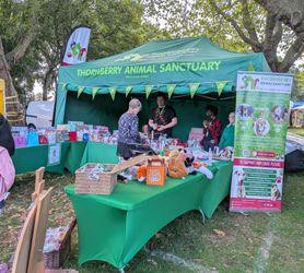 Back Under Cover: How Thornberry Animal Sanctuary Got a New Gazebo in Three Days image