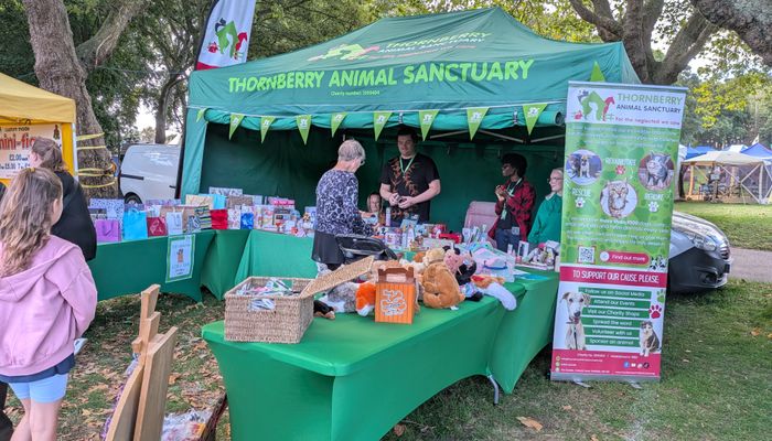 Back Under Cover: How Thornberry Animal Sanctuary Got a New Gazebo in Three Days image