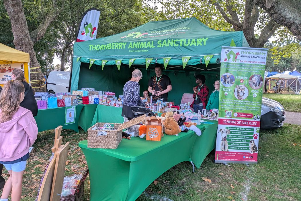 Back Under Cover: How Thornberry Animal Sanctuary Got a New Gazebo in Three Days image